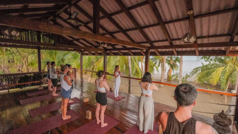 Yoga and Wellness Retreat in Panama: What to Expect at Waluaa’s Beachfront Hideaway Experience