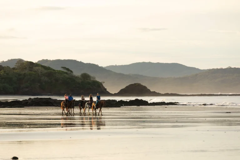 What Makes Waluaa Different? A Closer Look at Our Approach to Surf and Yoga Retreats 23 What Makes Waluaa Different? A Closer Look at Our Approach to Surf and Yoga Retreats