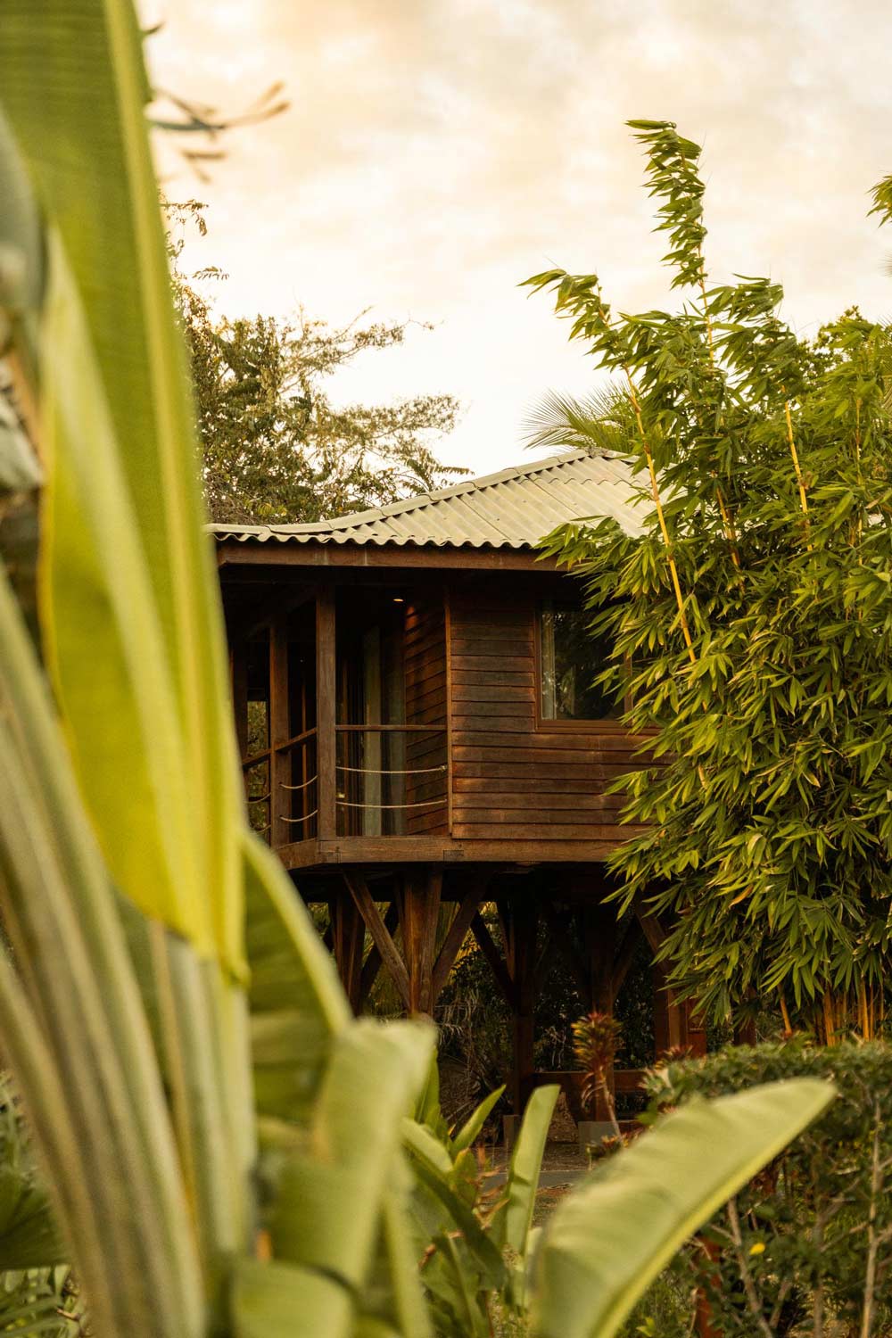 Beachfront Hideaway 12 Beachfront Hideaway tree house