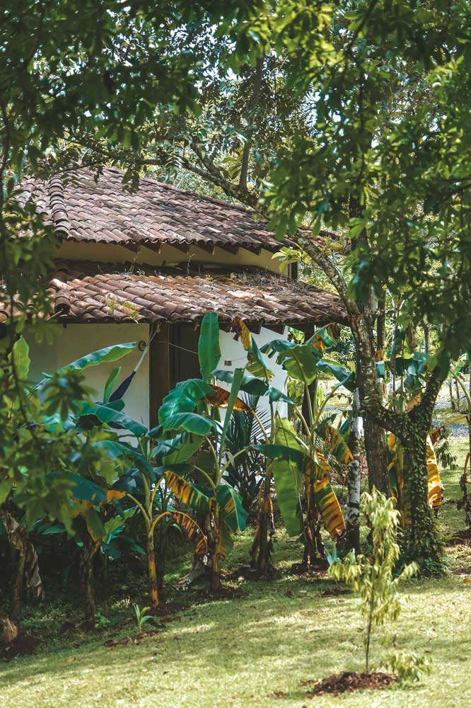 tropical villas garden 2