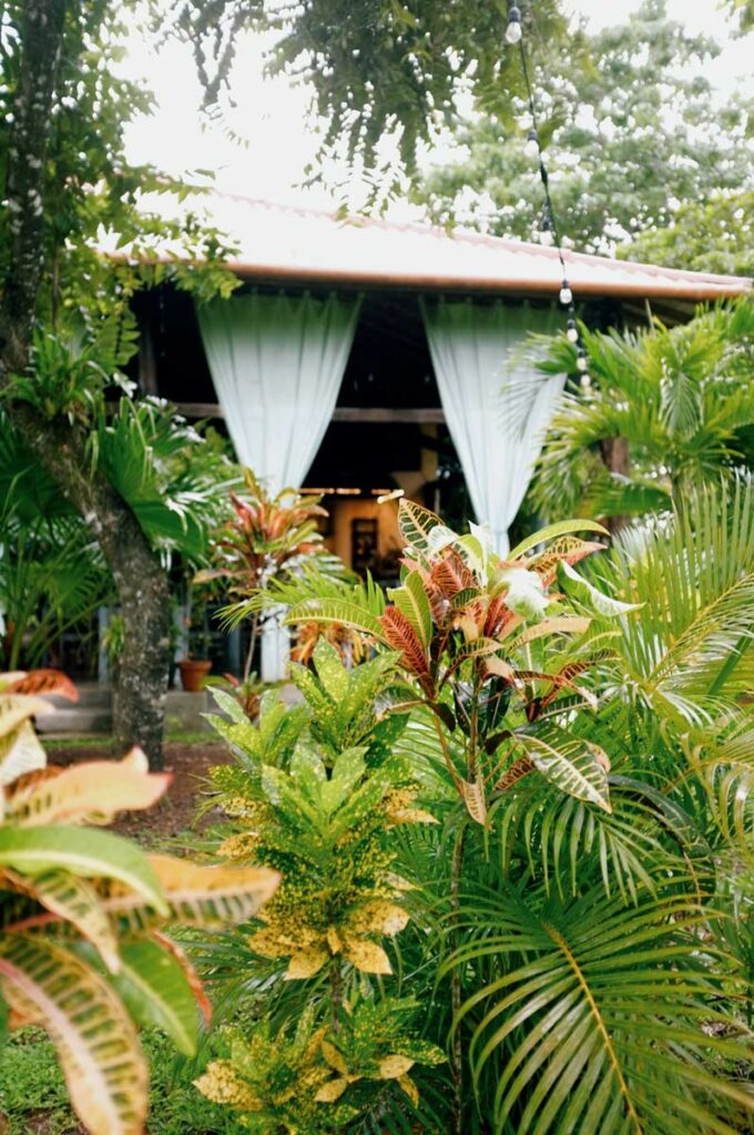 Tropical Villas 27 tropical villas garden 3