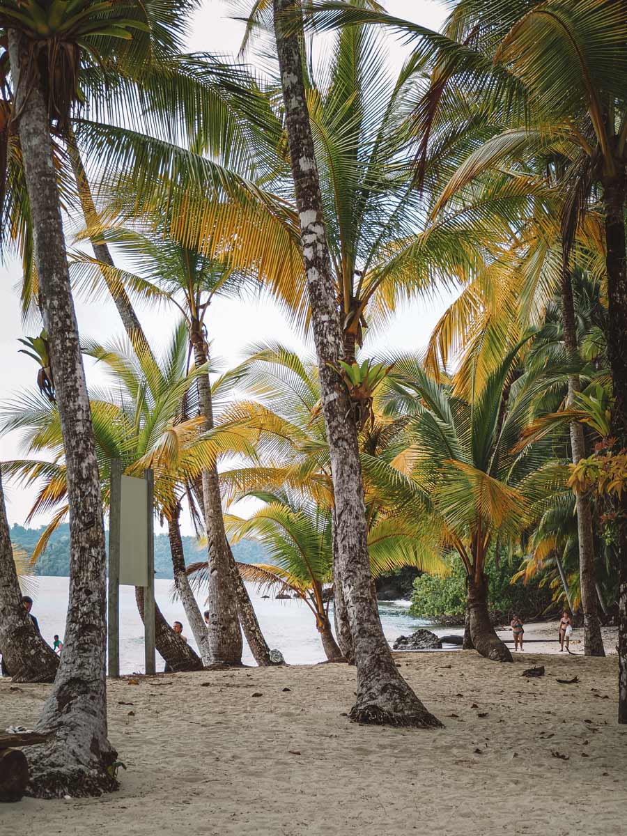 Adventures & Free Time 2 activities coiba island waluaa palms