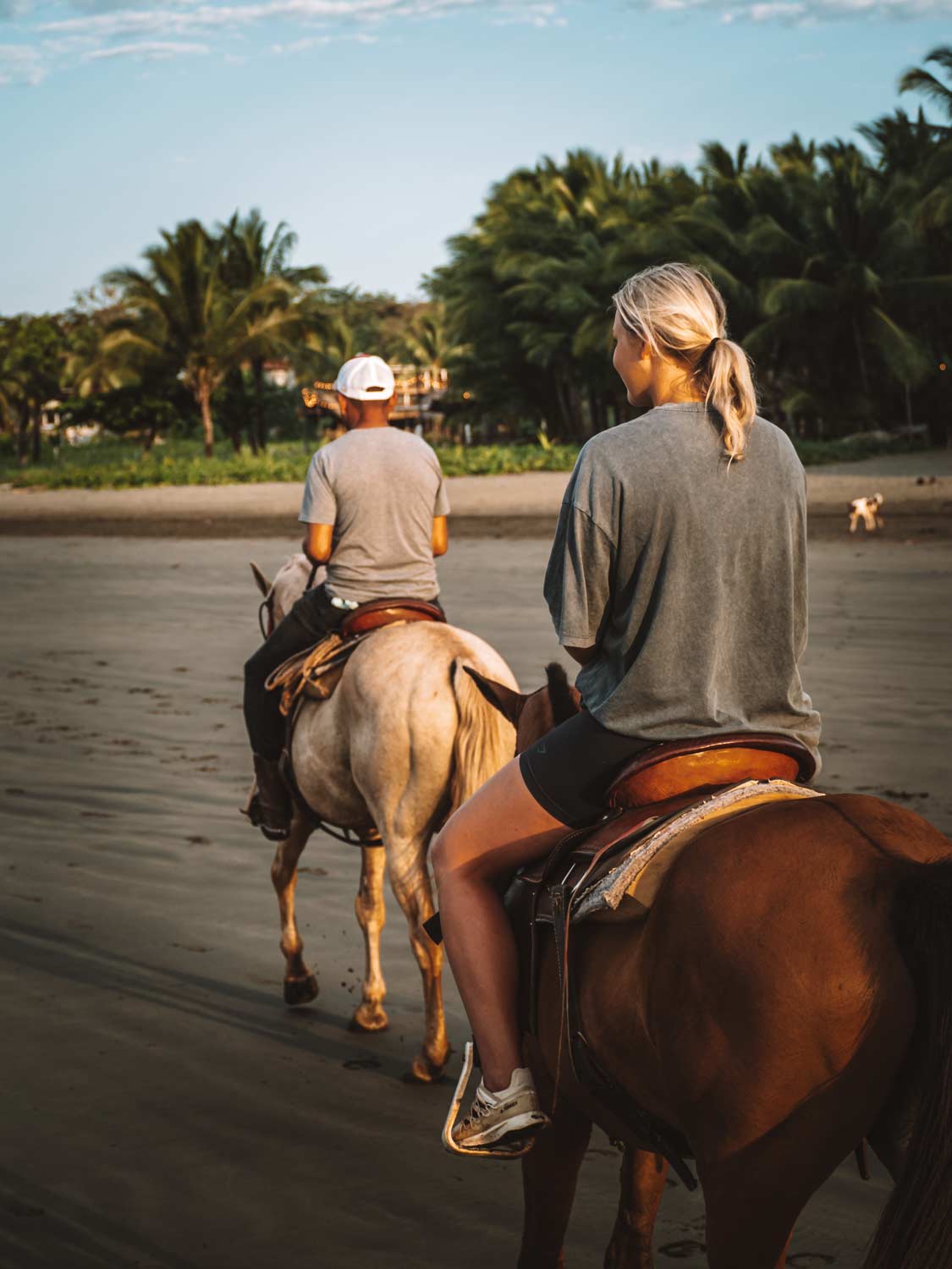 Adventures & Free Time 15 activities horse riding waluaa sc