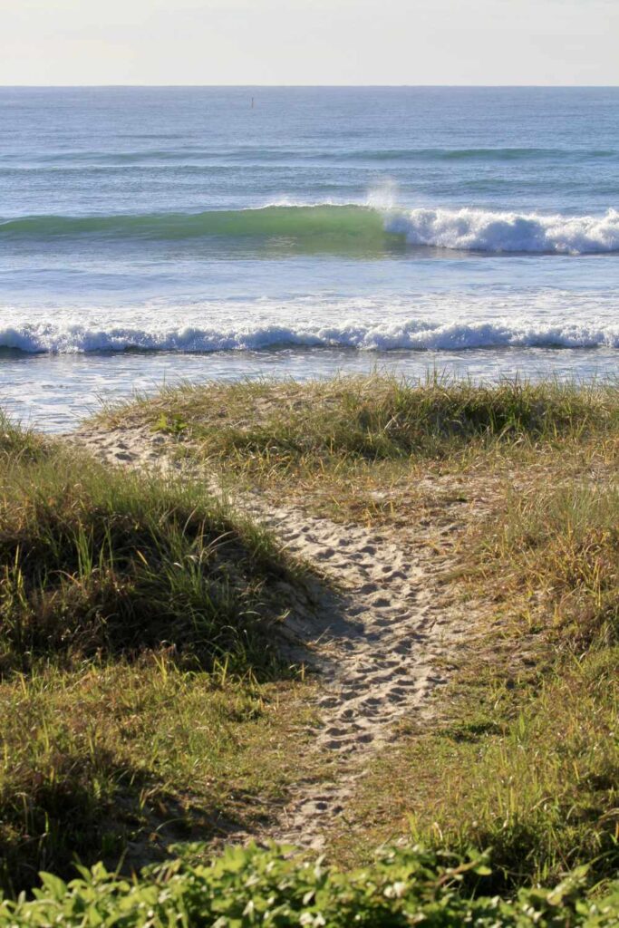 Australia Retreat 10 surf retreat waluaa lennox head 9