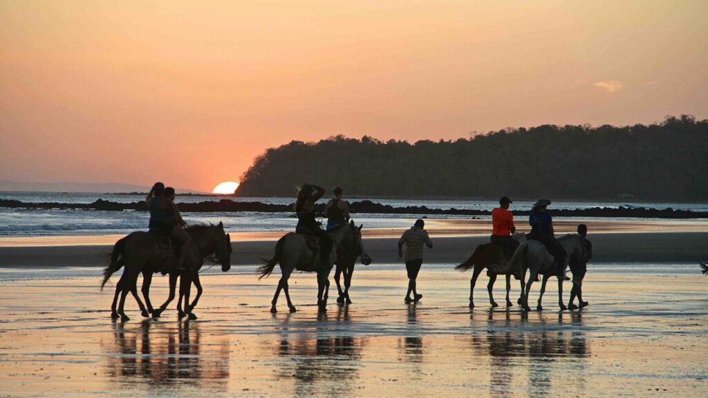 surf and yoga retreat for non-surfers activities 